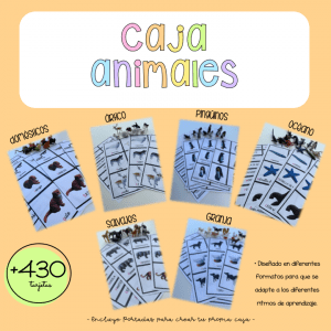 Caja animales